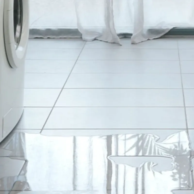 Appliance Leak Cleanup in Woodland, WA