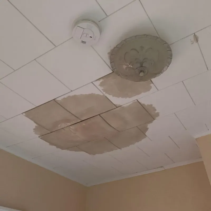 Ceiling Water Damage Repair in Woodland, WA