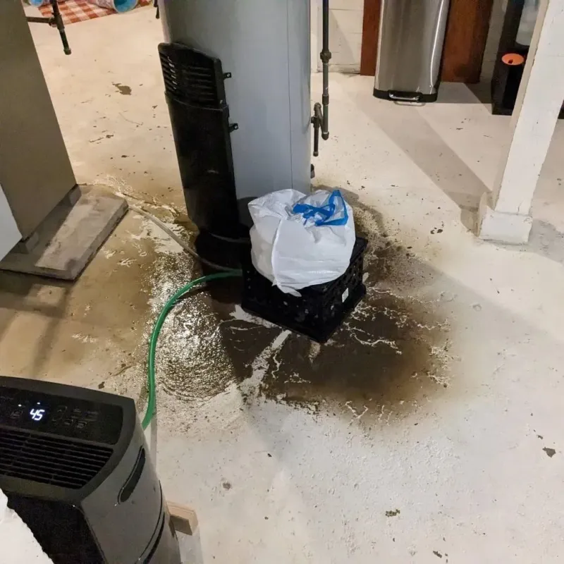 Sewage Backup Cleanup Service in Woodland, WA